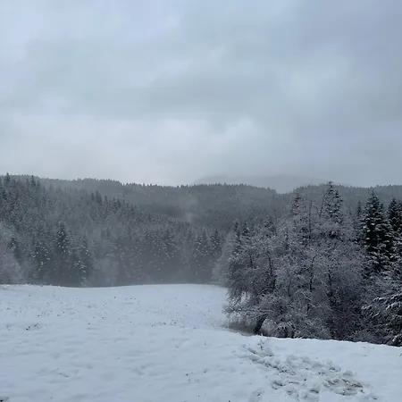 Villa Rajskie Wzgorze Sloikowo