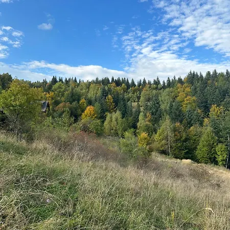 Rajskie Wzgorze Sloikowo